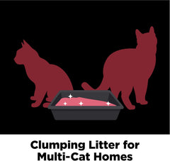 ARM & HAMMER Clump Complete Odor Sealing Clumping 14-Day Odor Control, Online Exclusive Formula, 37 Lbs
