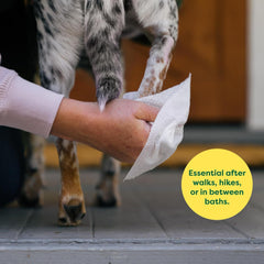 Earth Rated Pet Wipes for Dogs and Cats, Hypoallergenic,  for Paws, Body and Butt, Unscented, 100 Count