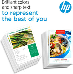 HP 67 Black Ink Cartridge | Works with HP DeskJet 1255, 2700, 4100 Series, HP ENVY 6000, 6400 Series