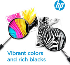 HP 67 Black Ink Cartridge | Works with HP DeskJet 1255, 2700, 4100 Series, HP ENVY 6000, 6400 Series