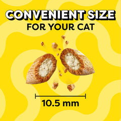 TEMPTATIONS Classic Crunchy and Soft Cat Treats Tasty Chicken Flavor, 16 Ounce (Pack of 1)